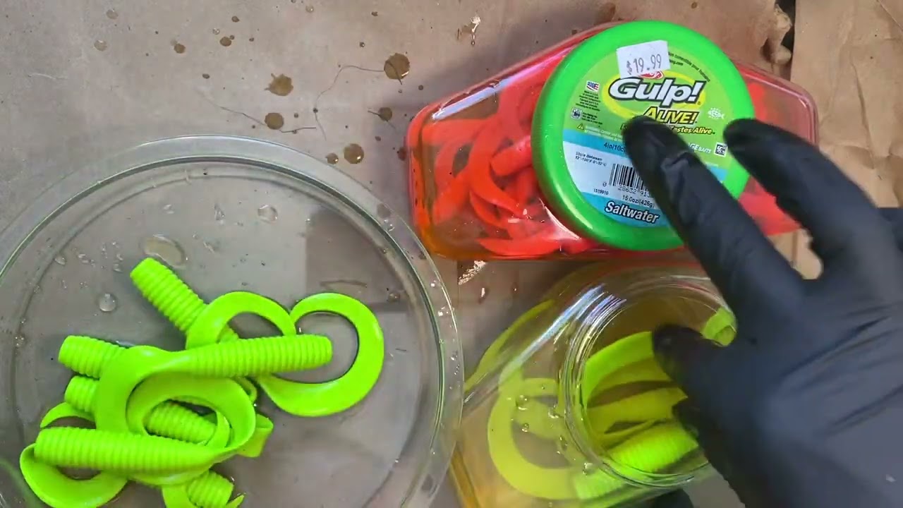How Many Berkley Gulp Grubs 4, 5, 6 inch in a Pint? | Saltwater Fishing Tips