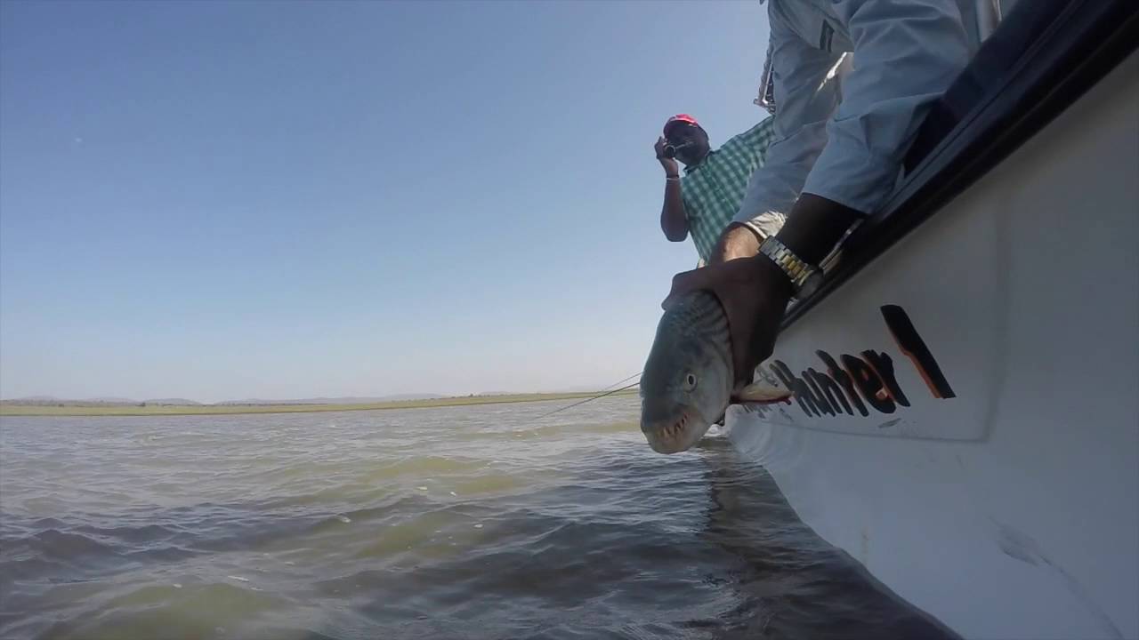 Tiger Fishing in Pongola