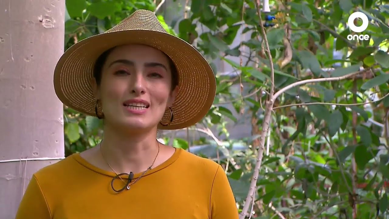 D Todo - Historia de la agricultura UACh (03/07/2024)