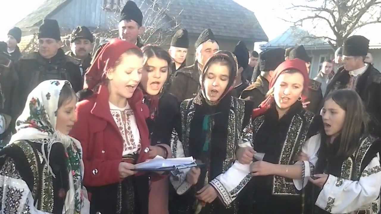 burla infloreste 3