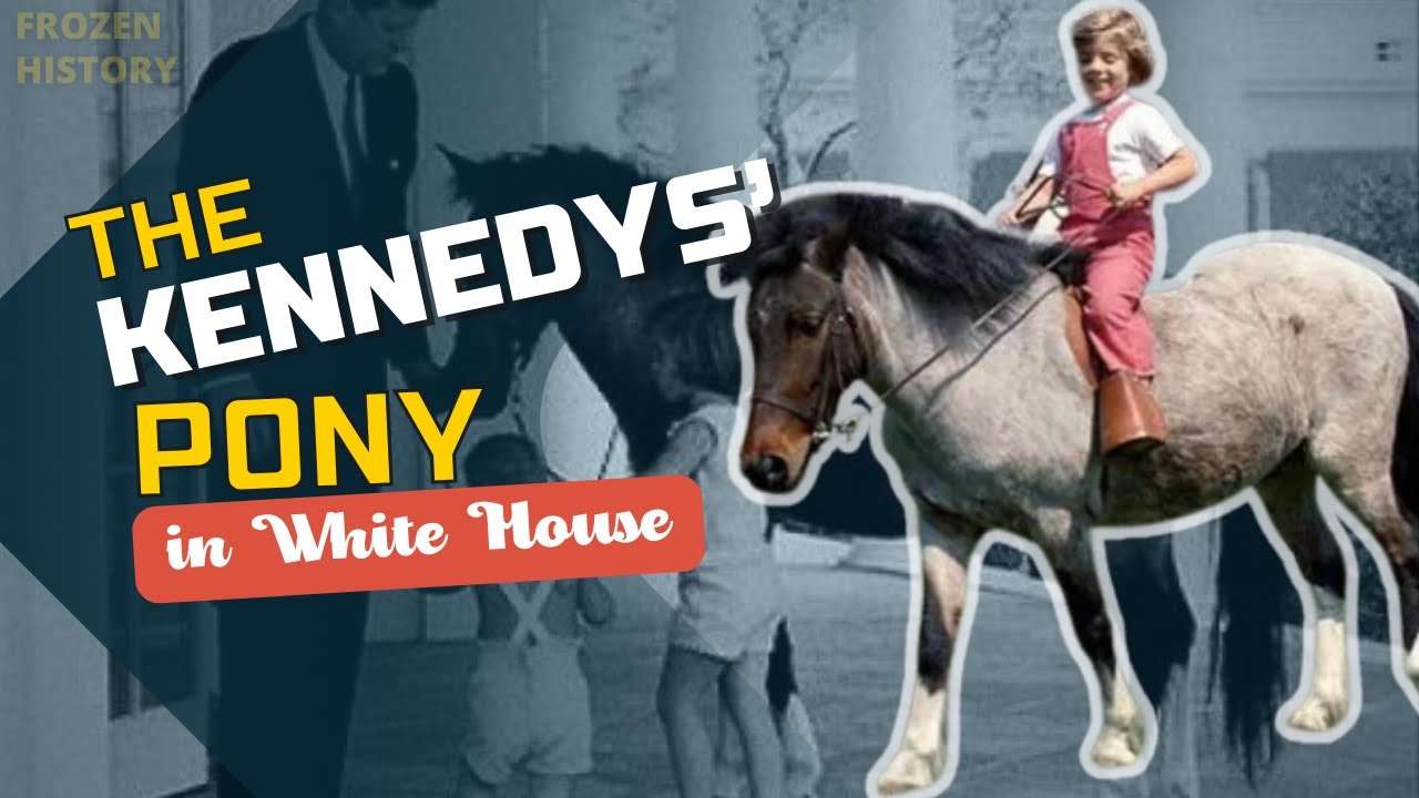 Macaroni: The Kennedys&rsquo; pony in White House, 1962-1963