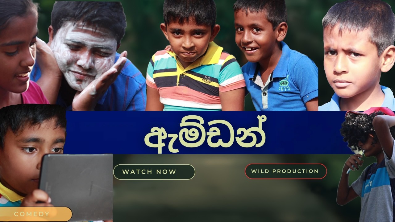 ඇම්ඩන්|AMDAN|WILD PRODUCTION