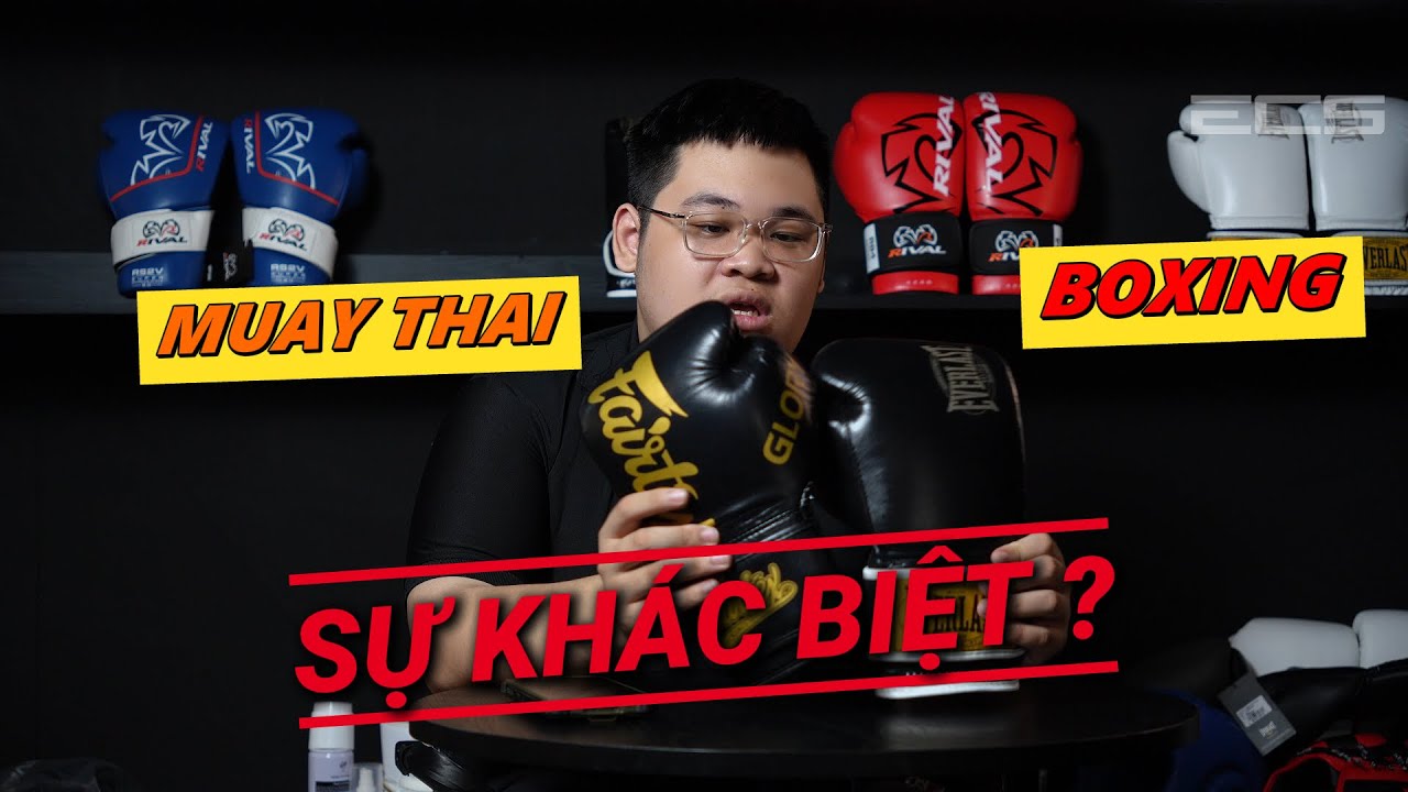 So Sánh Khác Nhau Giữa Găng Boxing Và Găng Muaythai | Chọn Găng Phù Hợp Với Mục Đích Tập Luyện