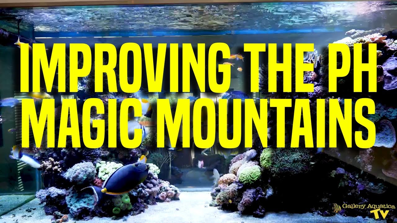 Improving the PH: Magic Mountains