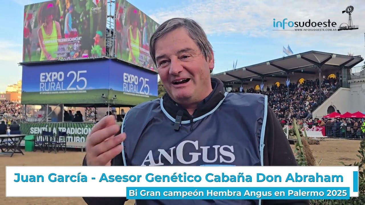 Bi Gran campeón Hembra Angus en Palermo 2025