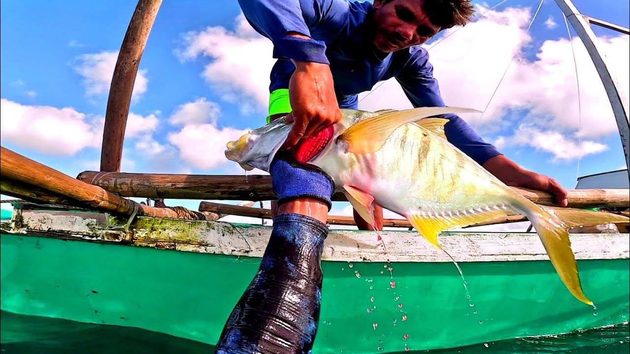 TrevallYsss,blessing,,,,/ #spearfishing @Lefthandedbully-to4hg / #spearfishingphillipines 