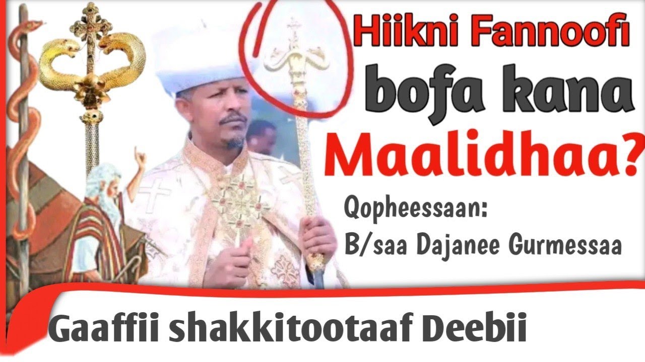 Fannoo bofa qabu Paaphaasonni maaliif qabatuu! Dhangaa Lubbuu