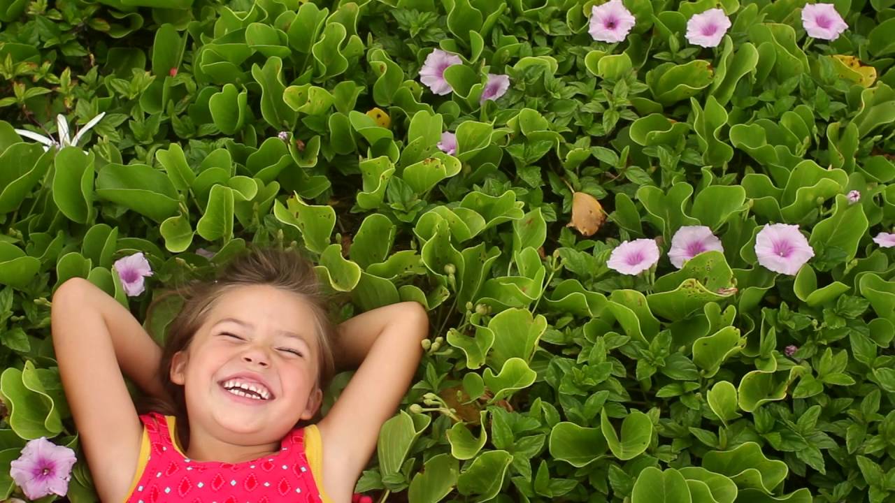 Taylor Quinn - She's A Miracle [Official Video]