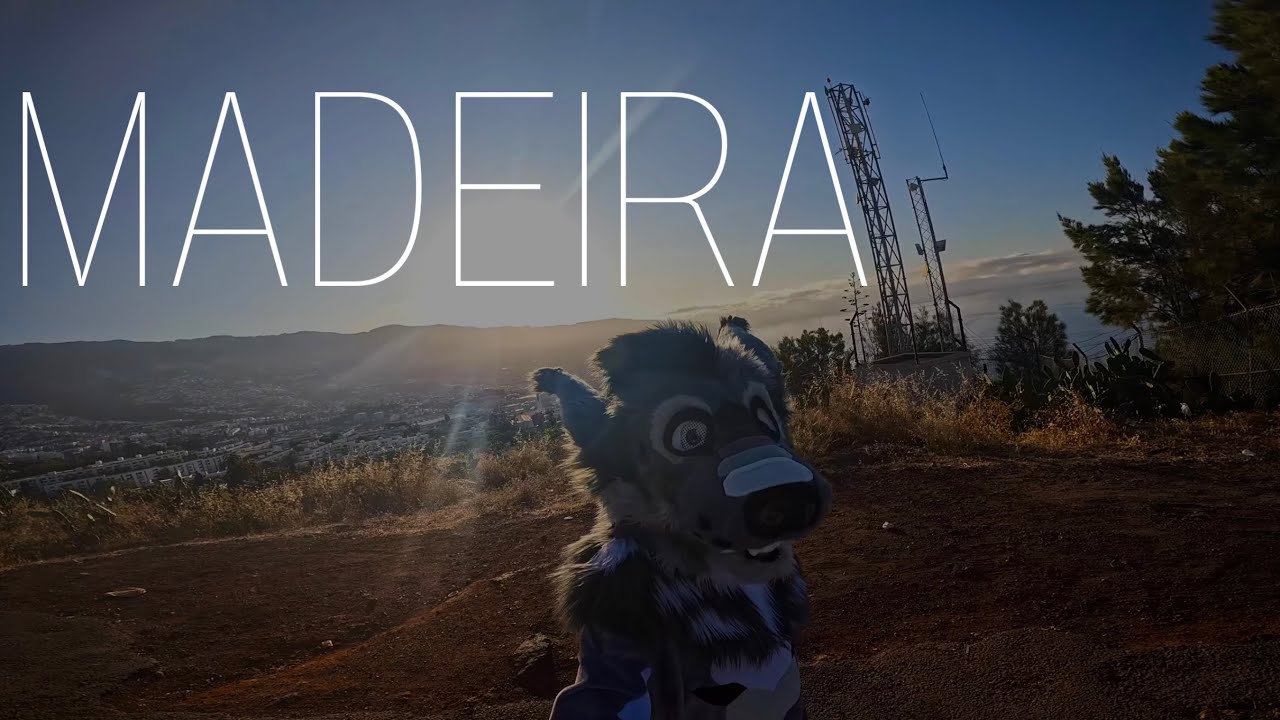 🇵🇹 Fursuiting auf Madeira | Mit Möwen | Vlog (2/2)