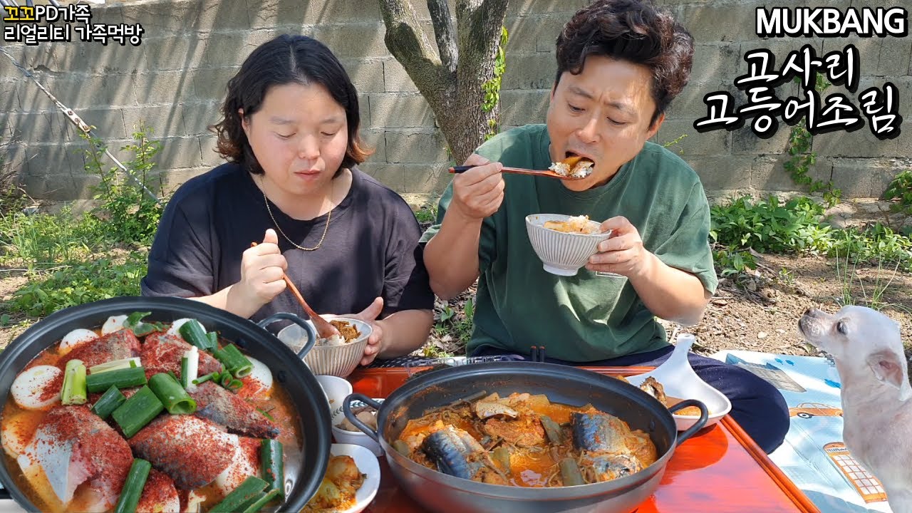 햇살좋은날 마당에서 고사리 고등어조림 만들어서 맛있는 집밥먹방(ft.장조림,무김치)😋ㅣBraised Spicy MackerelㅣMUKBANGㅣEATING SHOW