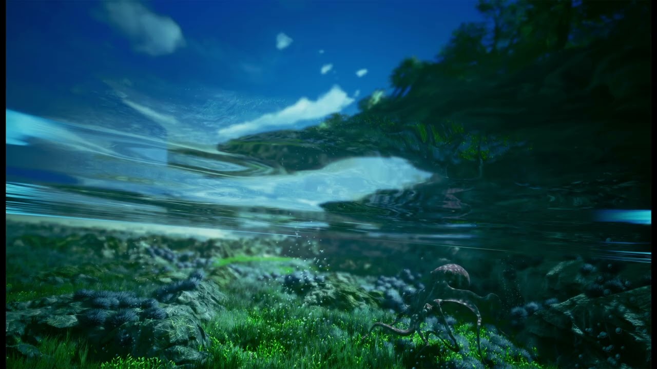 Shallow 2026 01 16