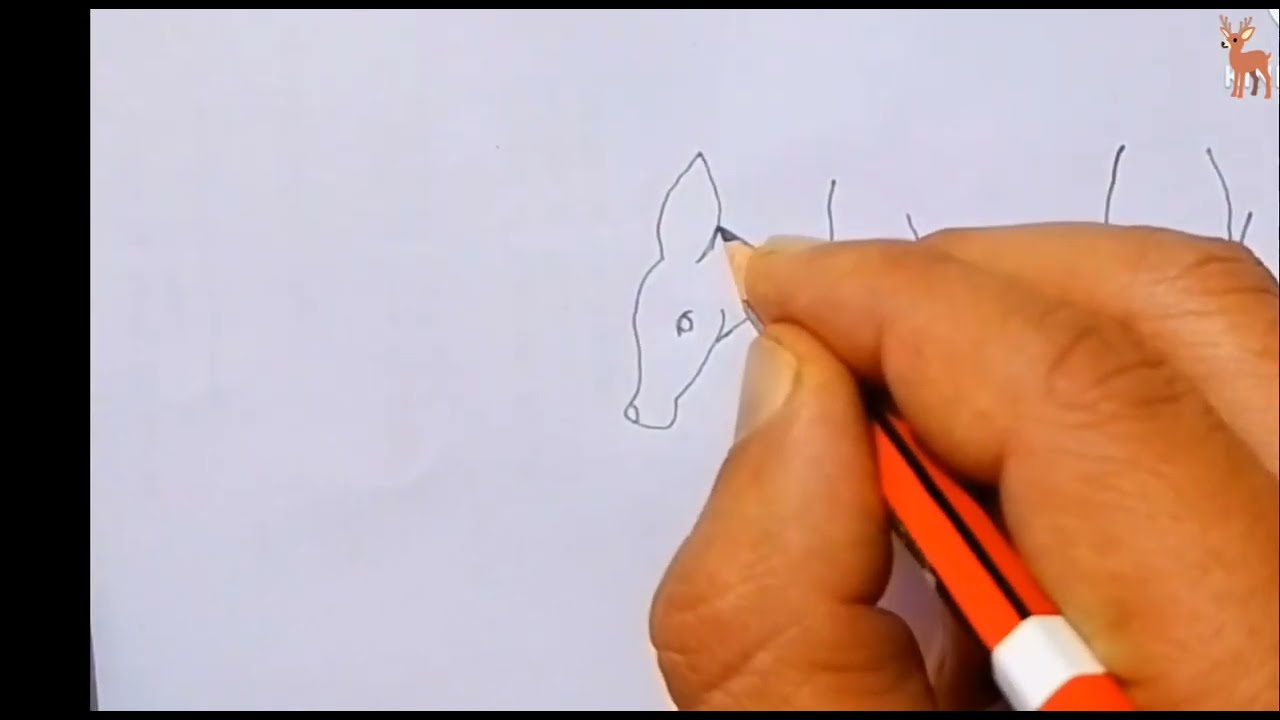How to make deer drawing /pencil art easy drawing.