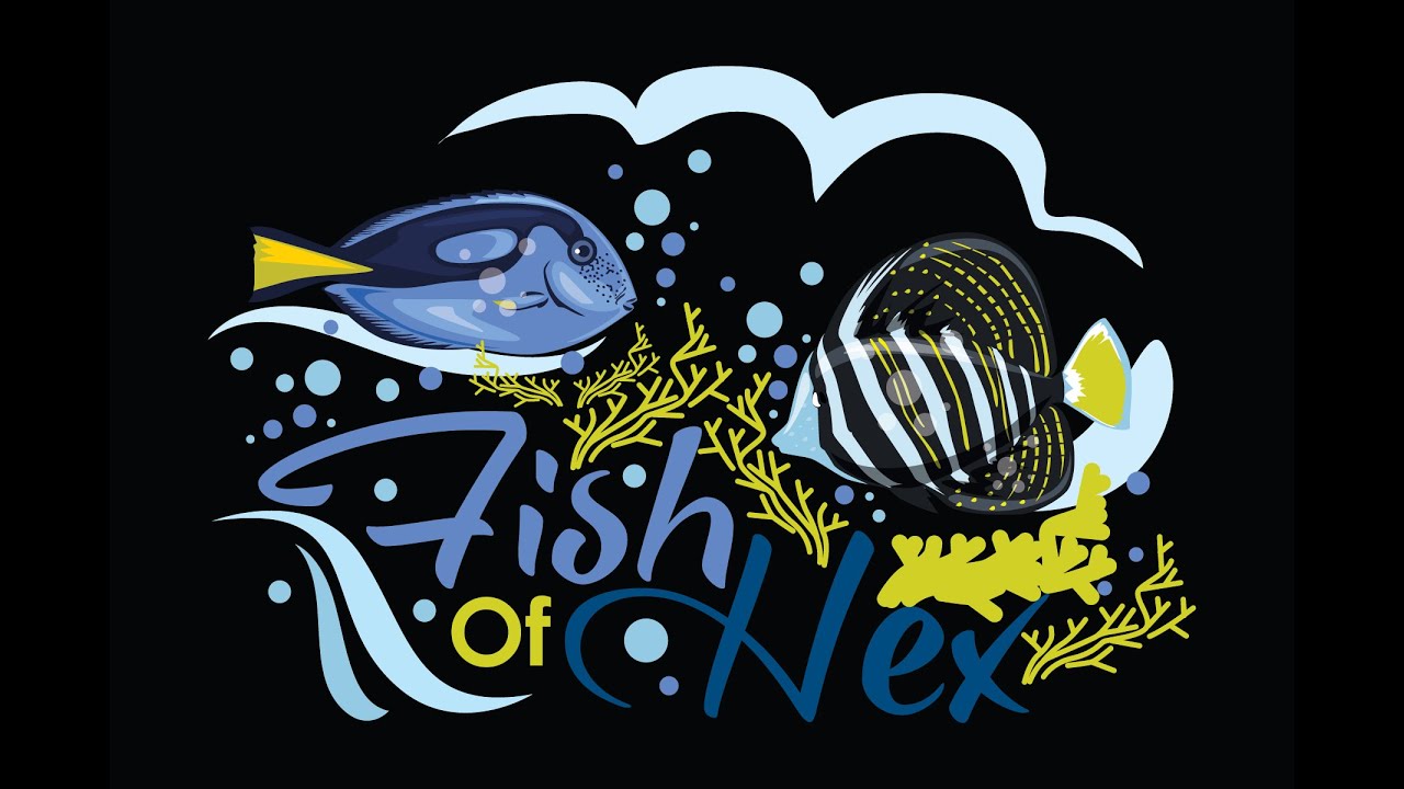 FishOfHex