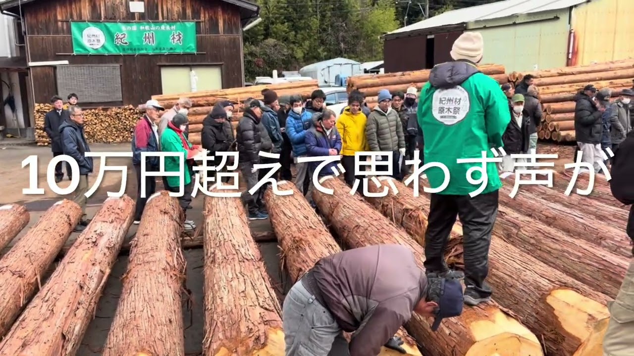 令和8年初市・紀州材原木祭【龍神木材共販所】