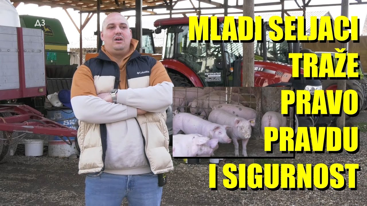 Mladi SELJACI TRAŽE SIGURNOST - PRAVO  - PRAVDU - proizvodjač svinja   OVO treba podržati ...