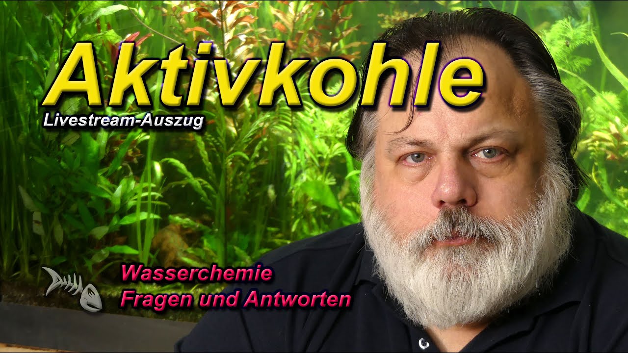 Aktivkohle im Aquarium. Was sie bewirkt und m&ouml;glicher Langzeiteinsatz