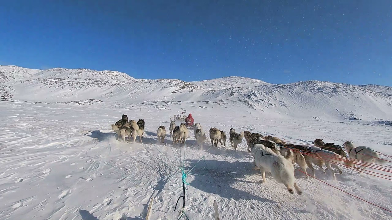 Salik Fly avannaata qimussersui 2021