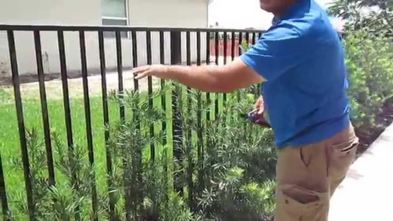 Customer Corner and Prruning hedges