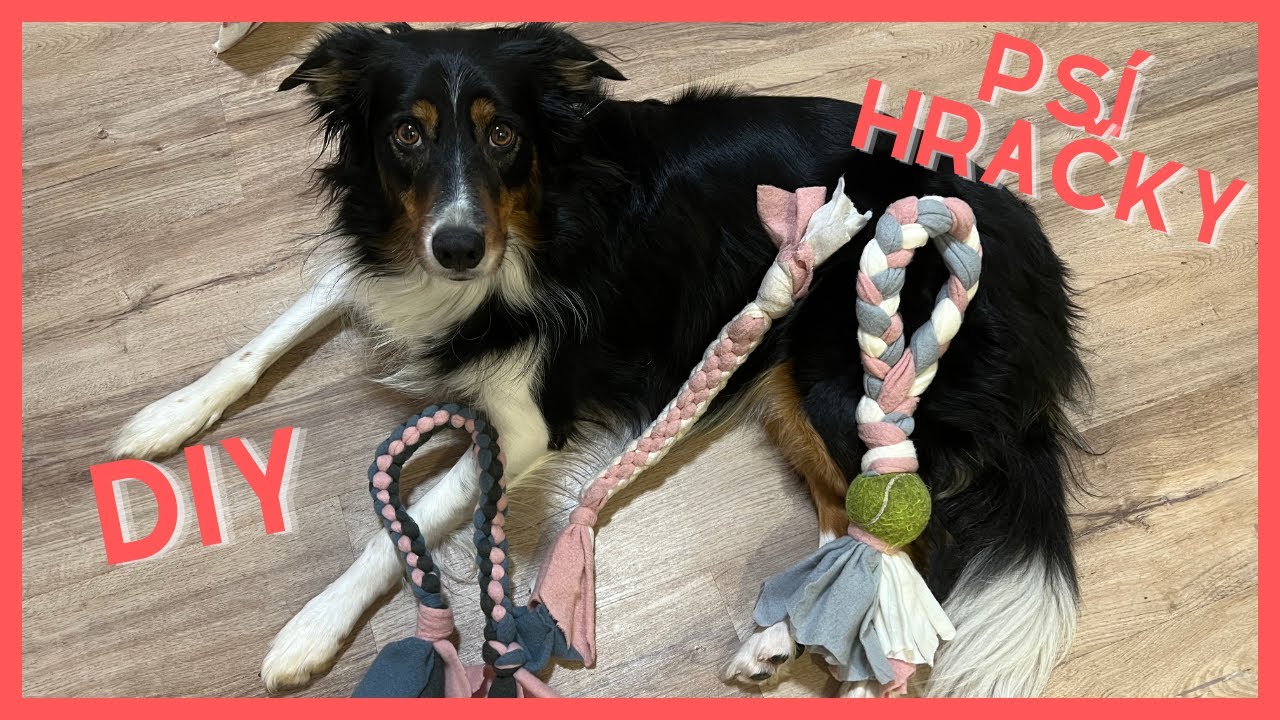 3 TYPY DIY PSÍCH HRAČEK 🎾🐶 | SE PSY S LÁSKOU A RESPEKTEM