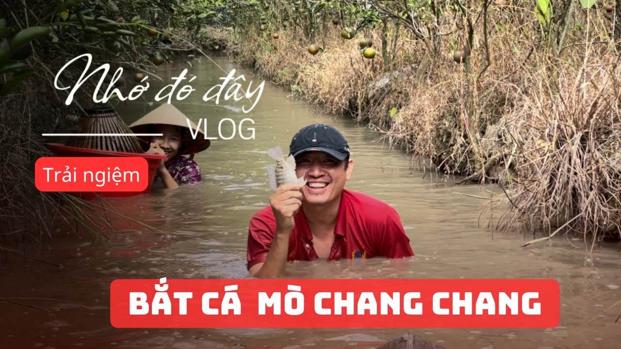 Trải nghiệm bắt cá và mò chang chang|Bữa cơm dân dã giữa đồng quê