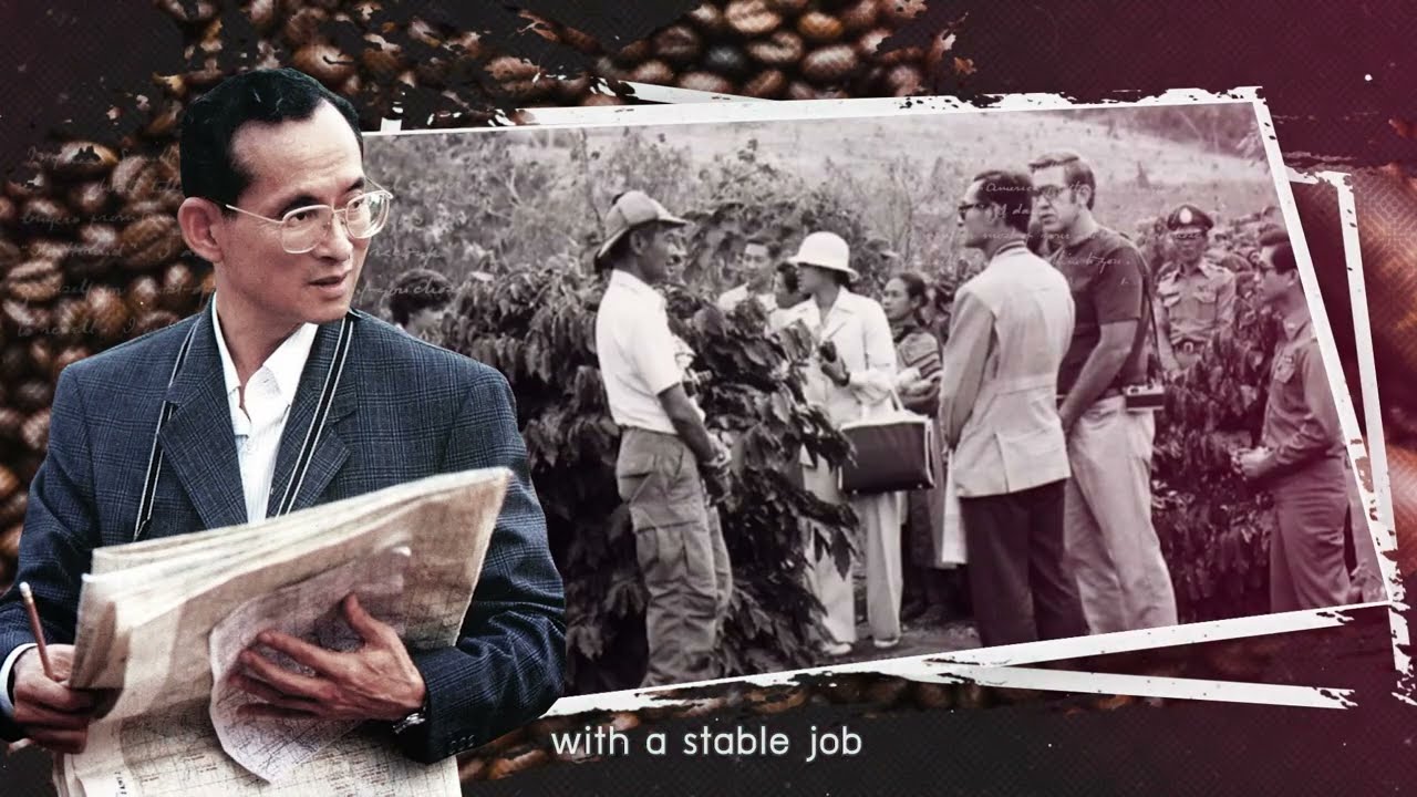 GI Thailand : Doi Chaang Coffee (English VTR with Subtitle English)