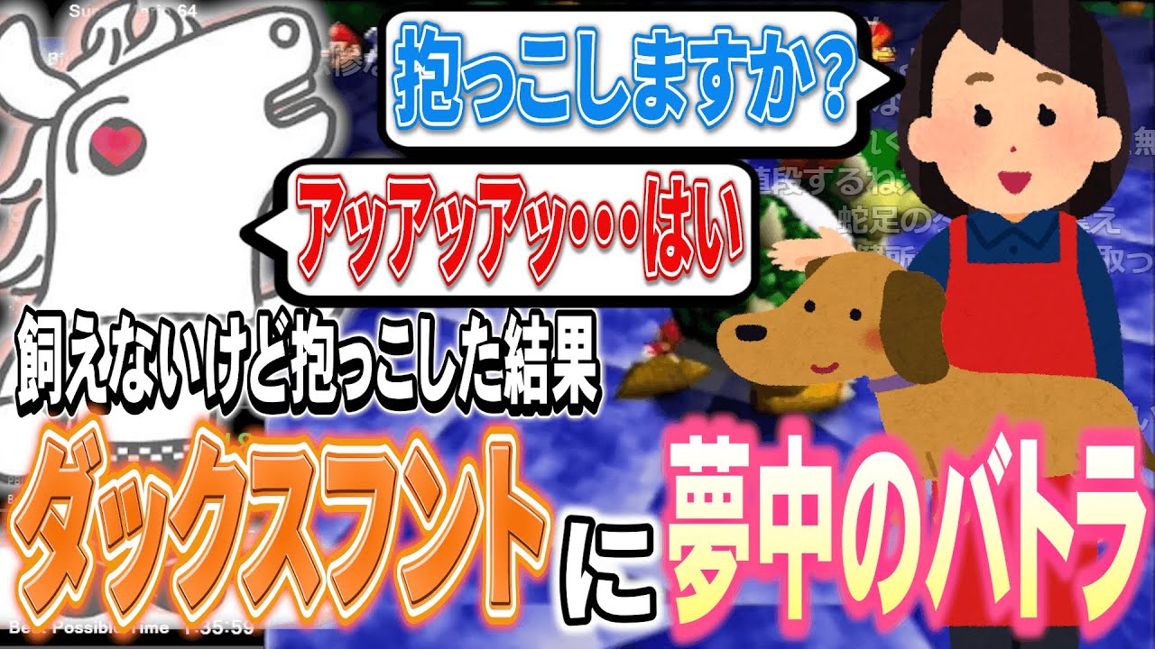 ペットショップでワンちゃんの抱っこを勧められ挙動不審になるバトラ【2023/8/24】