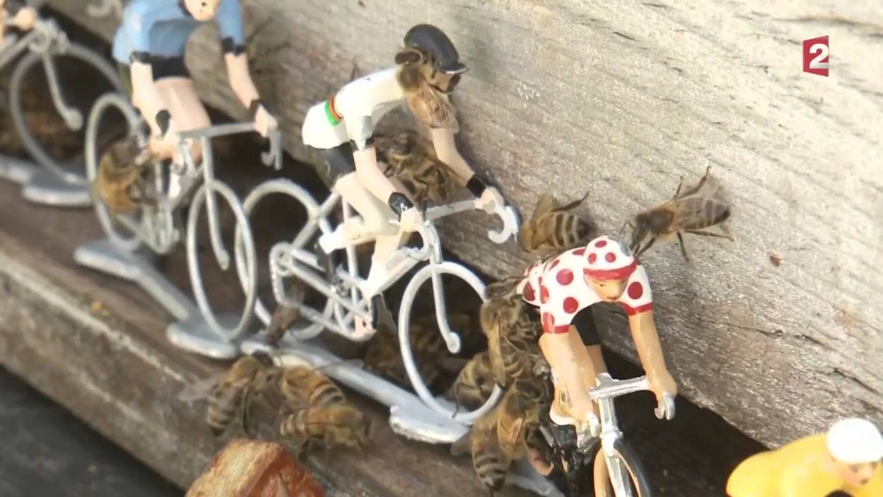 Le Yoga des Abeilles dans 
