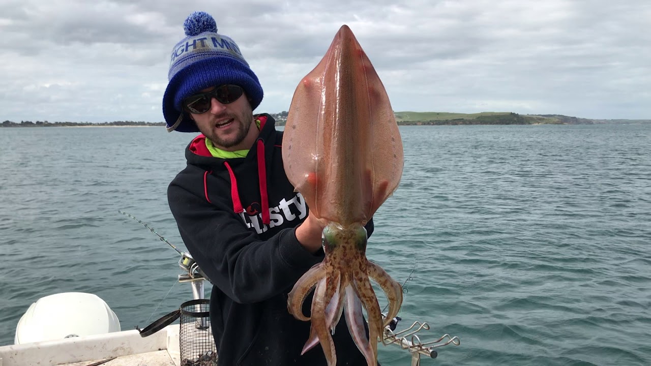 Big Westernport Whiting and Calamari in October!