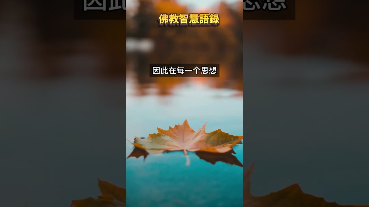 佛教智慧語錄 - 菩薩畏因，眾生畏果 #靜心內在之旅 #佛教智慧 #正念生活 #心靈成長 #冥想放鬆 #智慧語錄 #佛法分享 #快樂健康 #內心平靜 #慈悲與智慧 #正能量 #菩提梵唱 #菩提梵唱