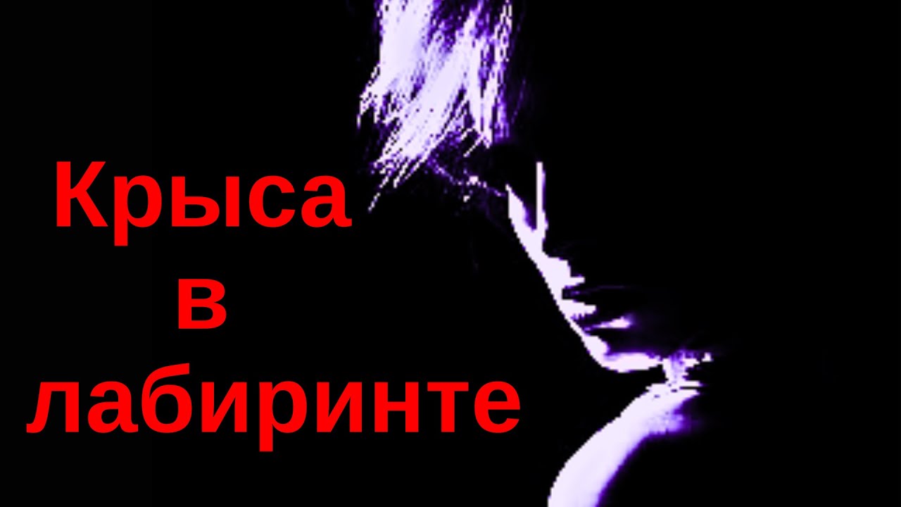 Крыса в лабиринте: кто подгрызает твои опоры, пока ты строишь планы?