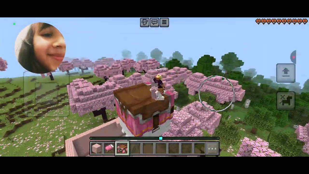 Montando minha casa e jogando com minha amiga
