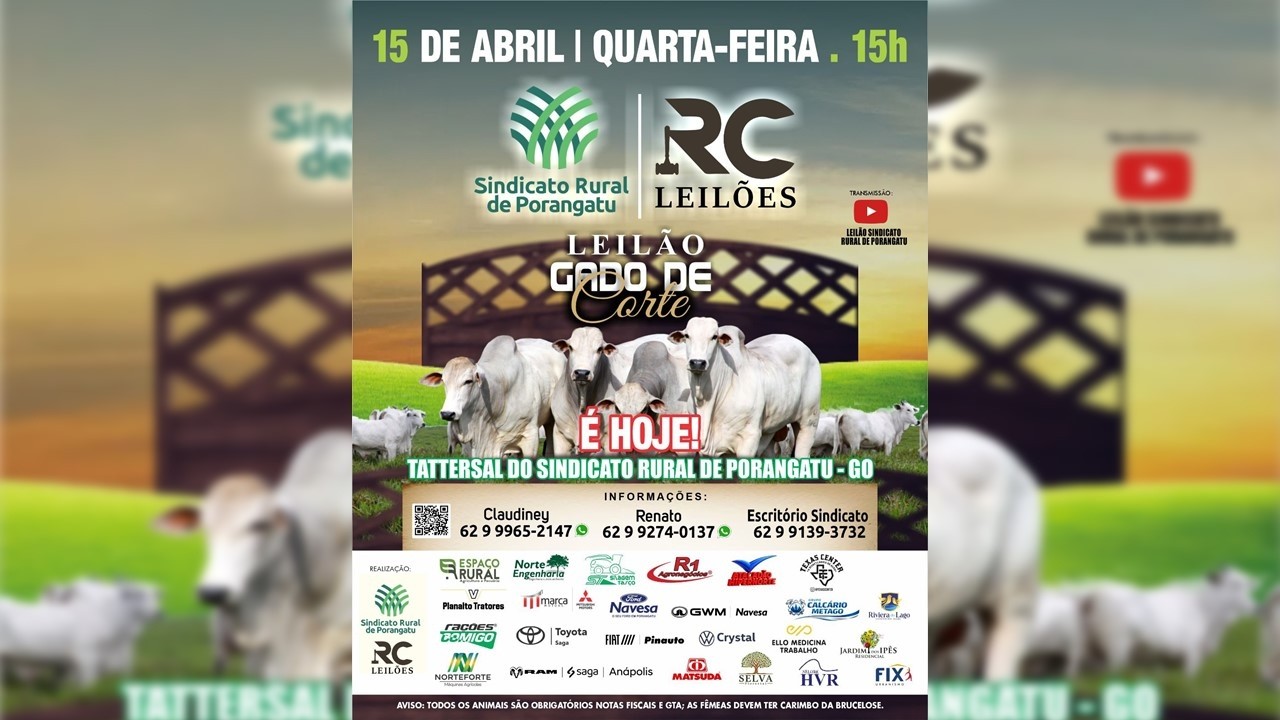 LEIL&Atilde;O GADO DE CORTE  - SINDICATO RURAL DE PORANGATU  - 15/04/2026