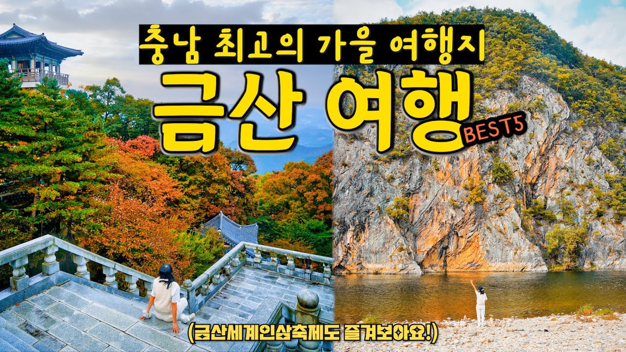 충남 가을 여행지 추천🍁 금산 여행 가볼만한곳 5 (태고사, 금산산림문화타운, 적벽강, 월영산 출렁다리, 금산인삼축제 2023)