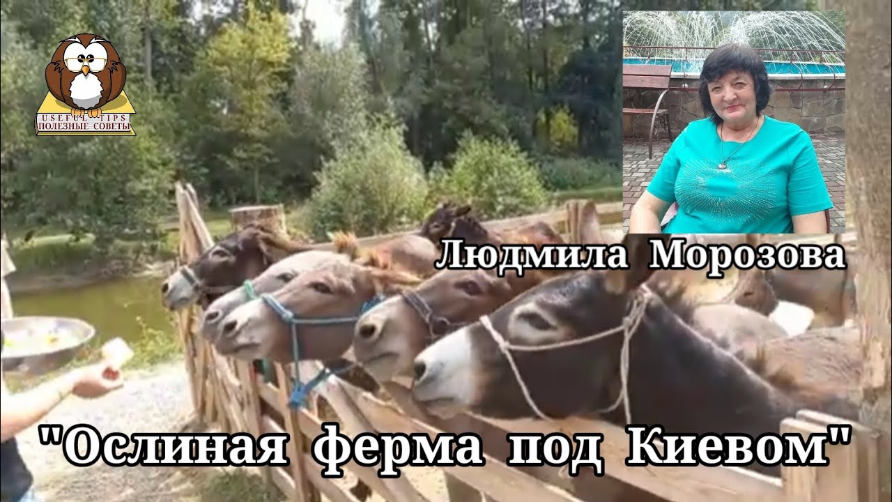 Полезные советы. 