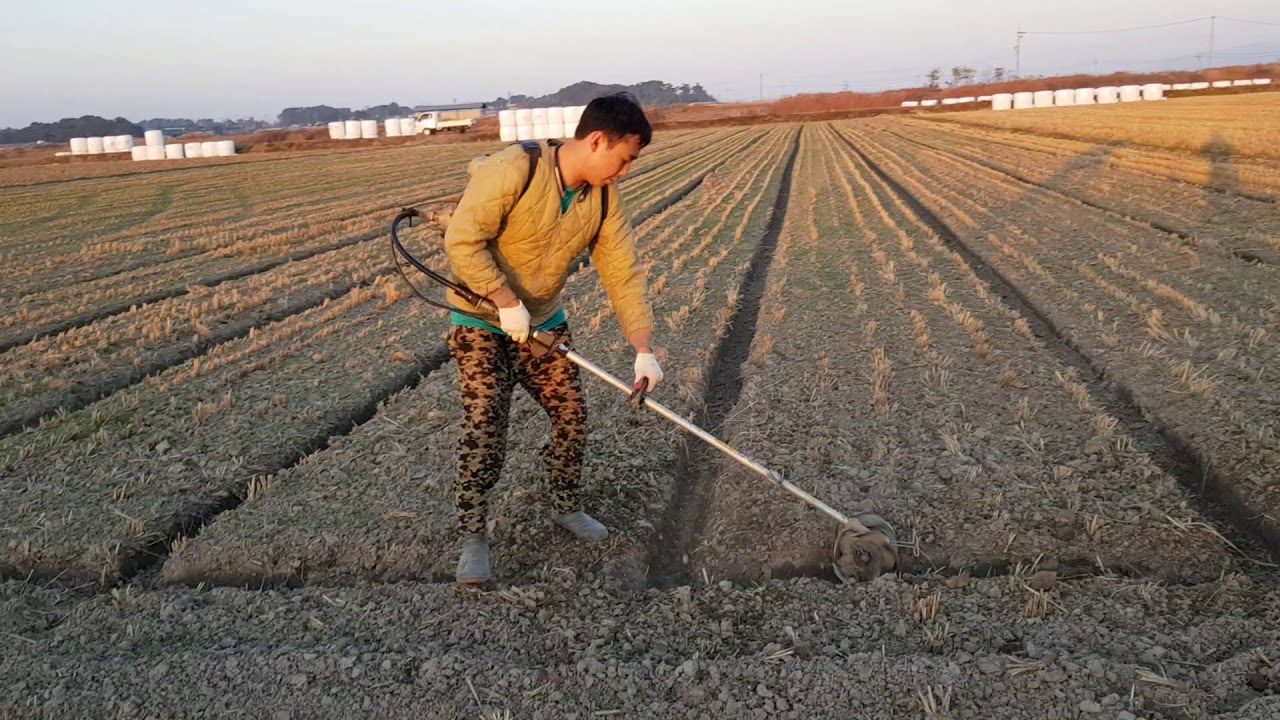 농사짓는오빠 이모작 배수로내기 물골타기 골타기