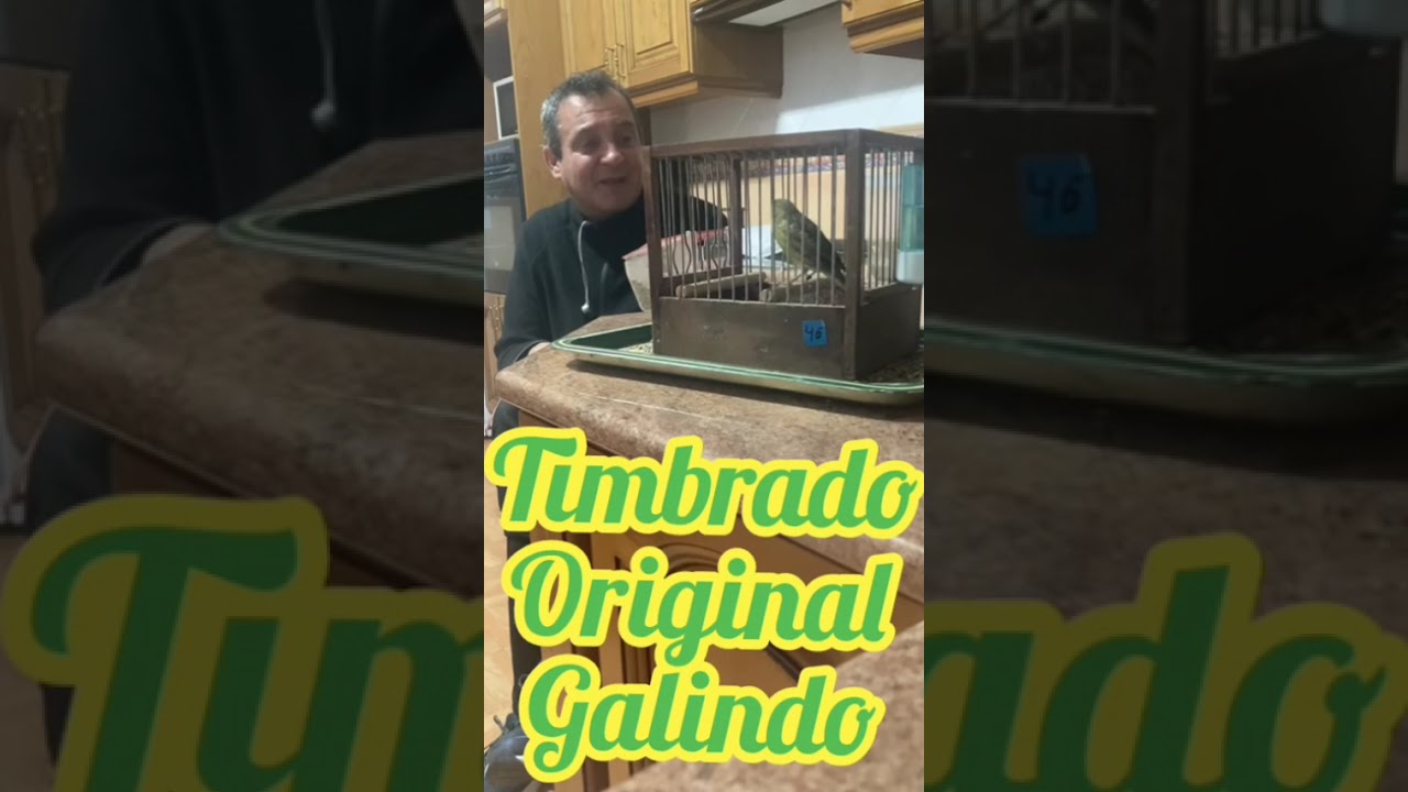 Confesiones de un canaricultor