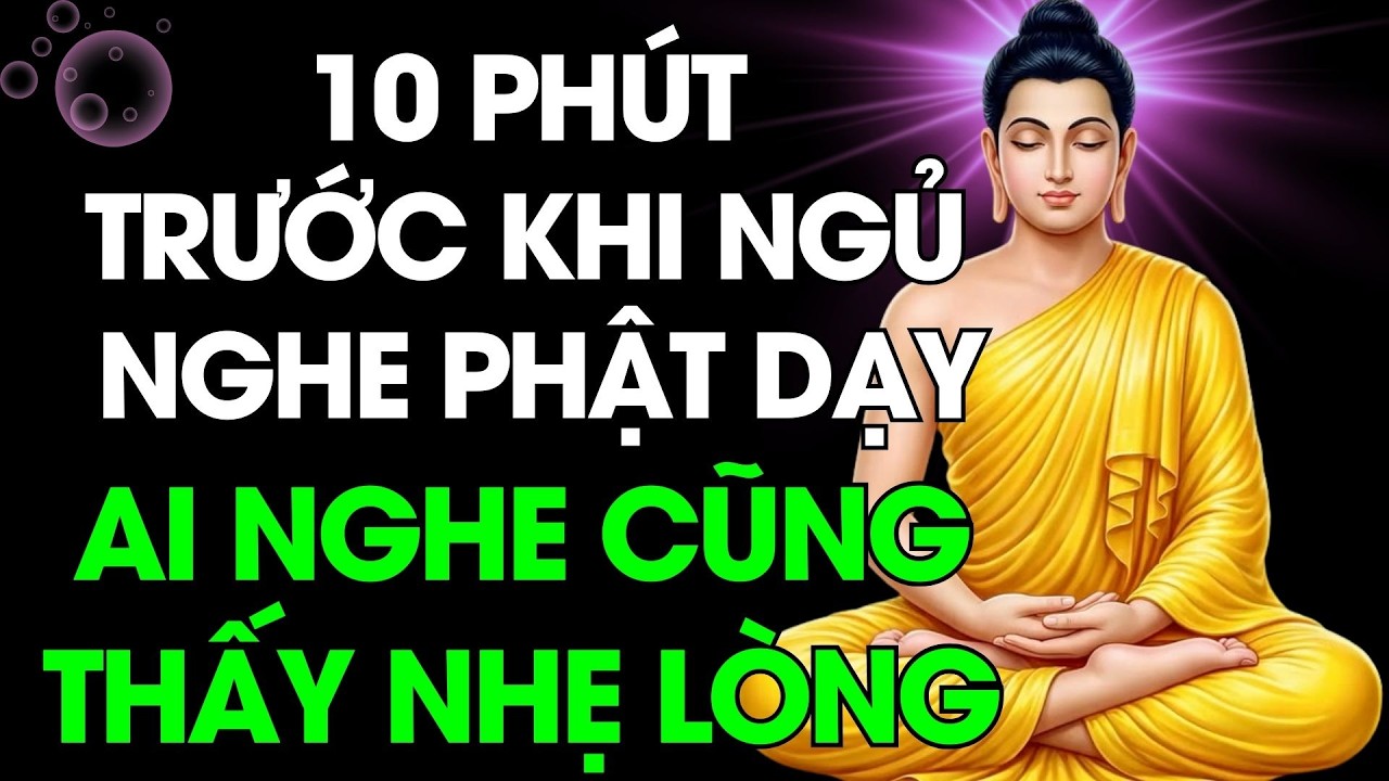 10 Phút Trước Khi Ngủ Nghe Lời Phật – Phiền Não Tan Biến - Ai Nghe Cũng Thấy Nhẹ Lòng