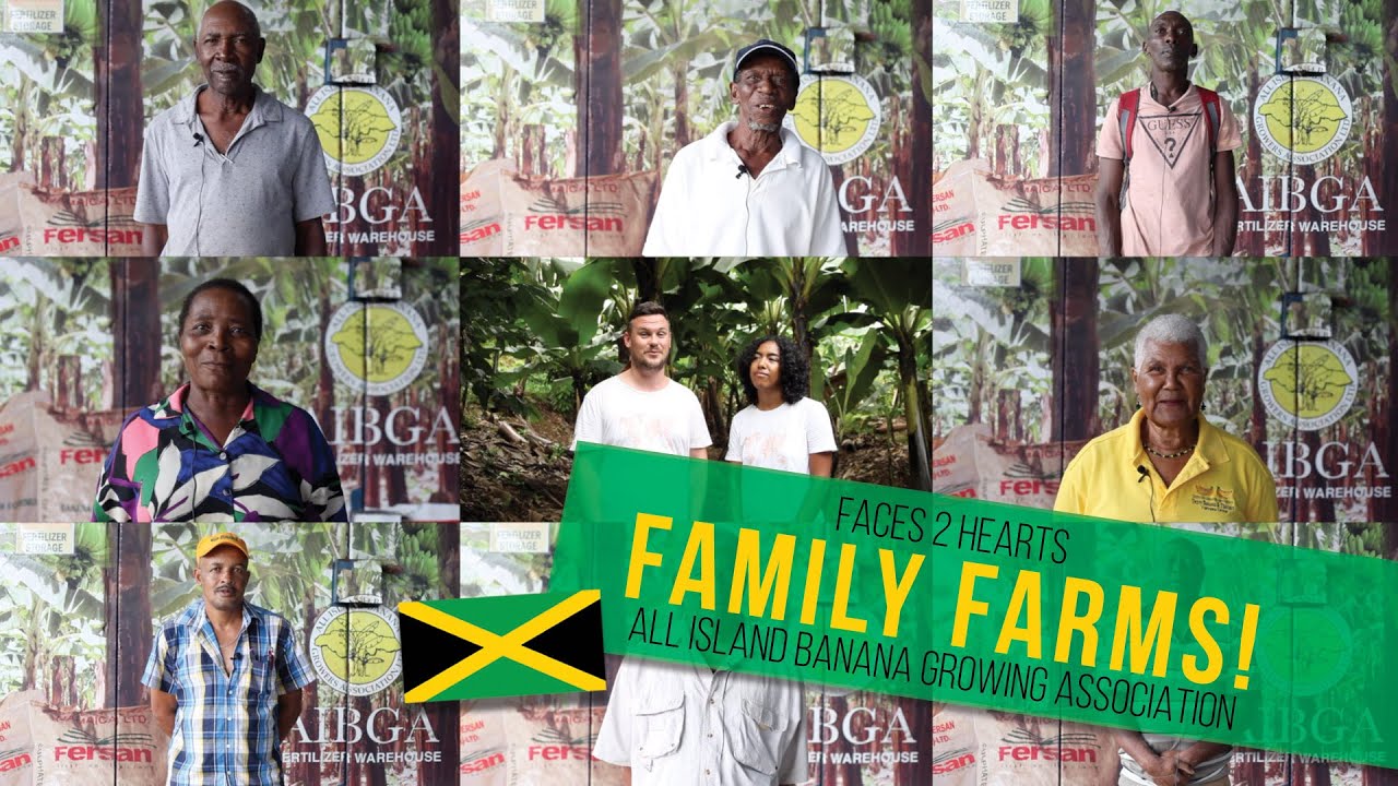Faces2Hearts in Jamaica: Small farmers unite with the AIBGA and EU!