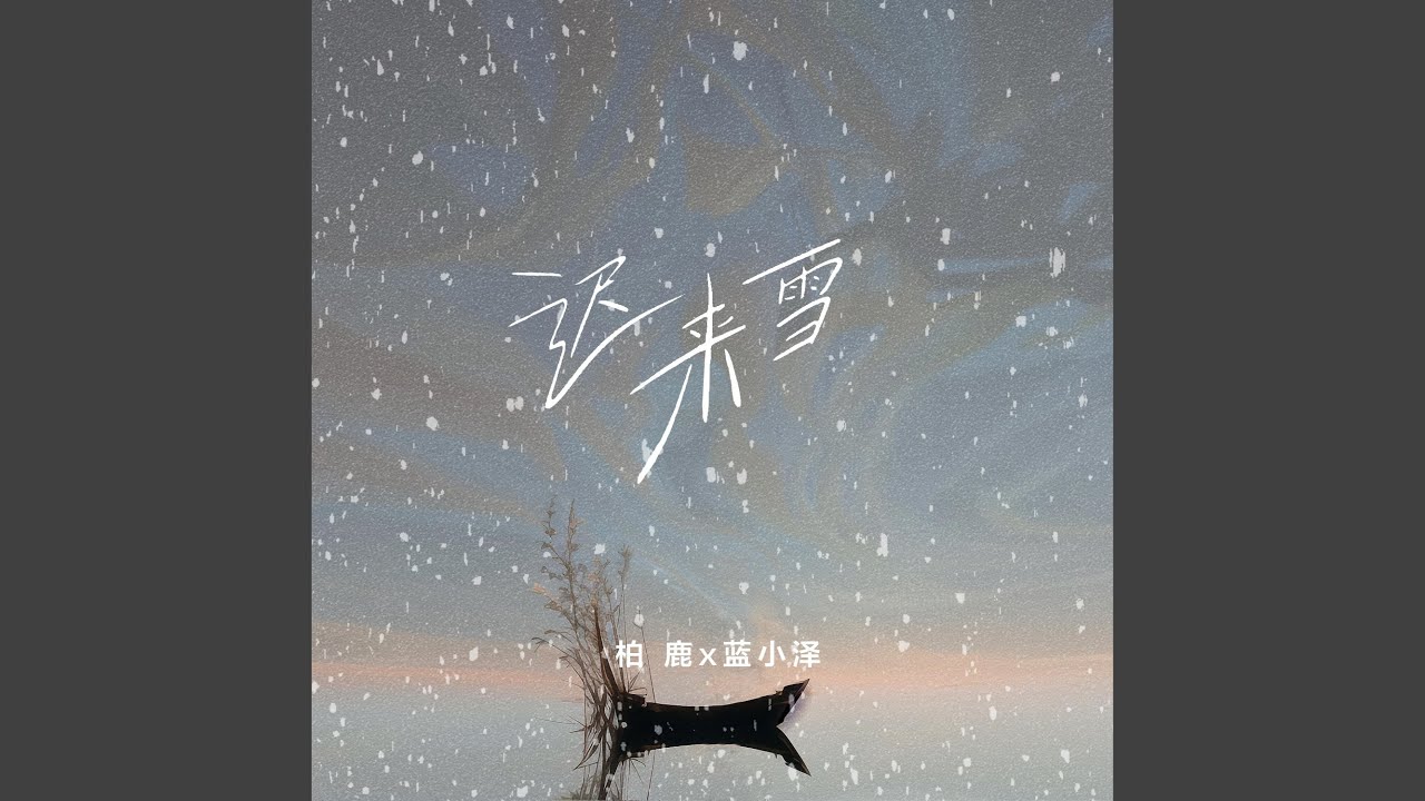 迟来雪