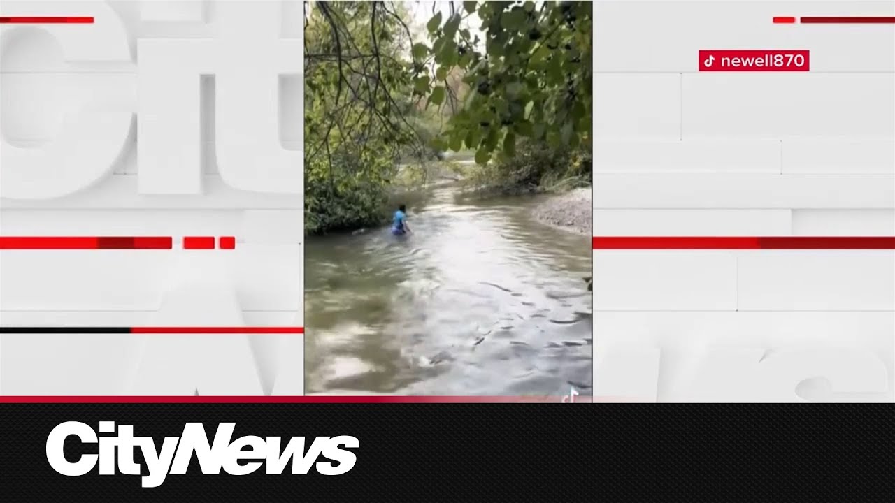 Education, enforcement needed amid Bowmanville fishing post: advocates