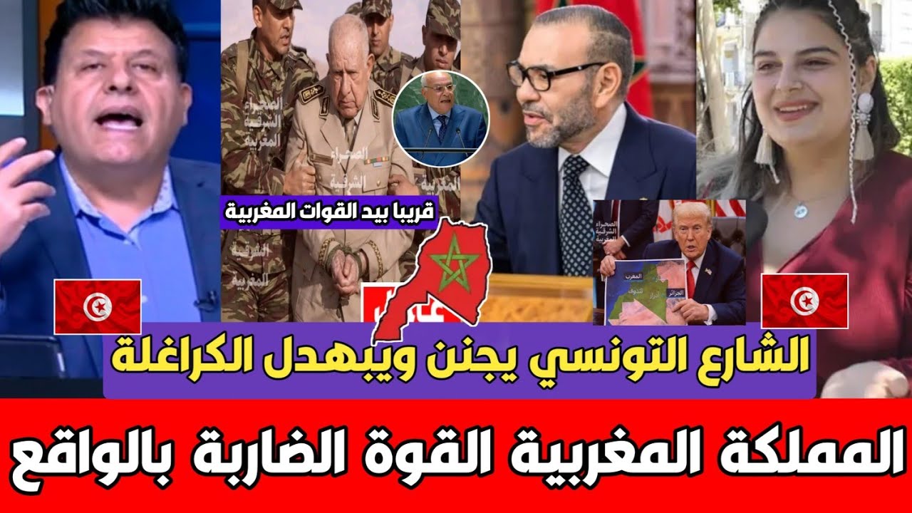 الشارع التونسي يبهـ ـدل الجزائر بالمباشر الصحراء مغربية بالدليل ونعتذر للملك محمد السادس رجل بحق