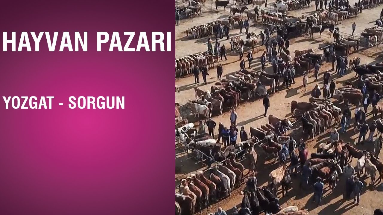 Hayvan Pazarı - Yozgat / Sorgun