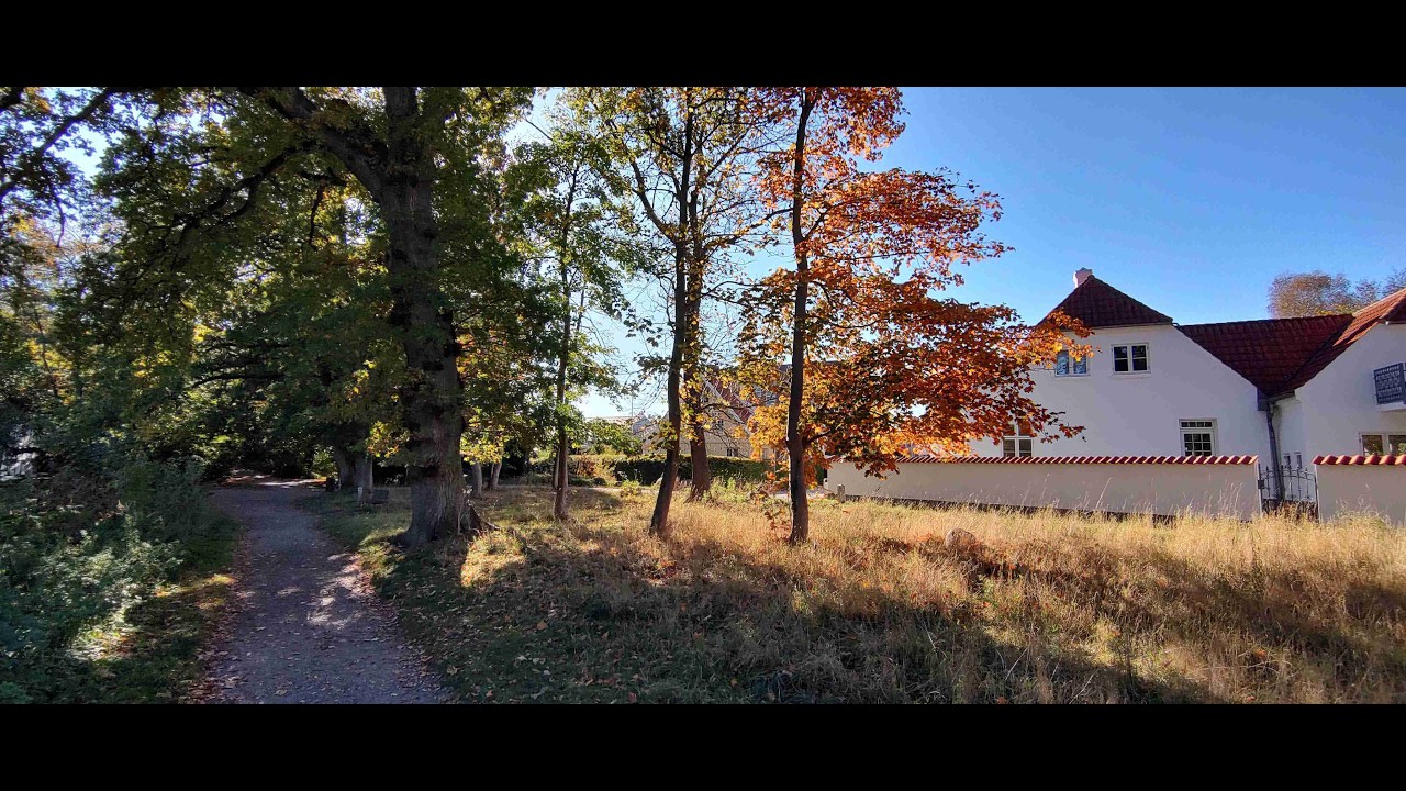 19. oktober 2025 Lille N&aelig;stved &ndash; &Aring;stien (Sus&aring;leden)