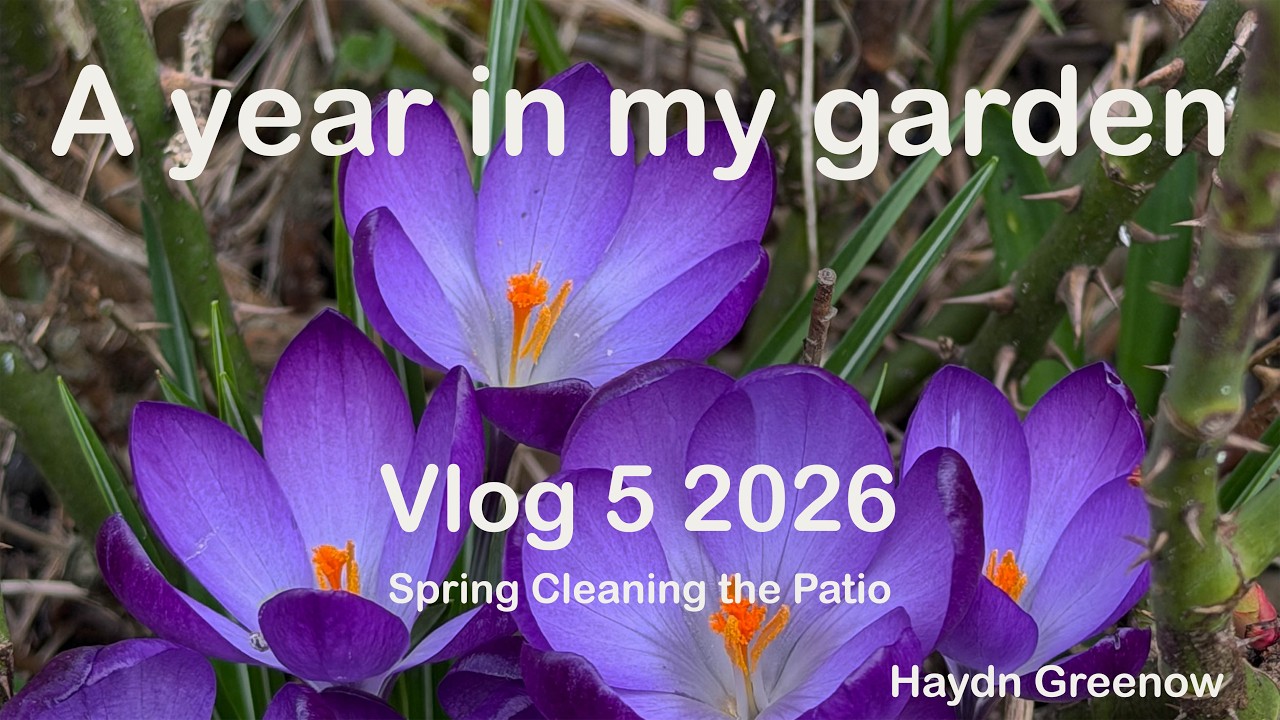 Vlog 5 2026 - Time to spring clean the patio
