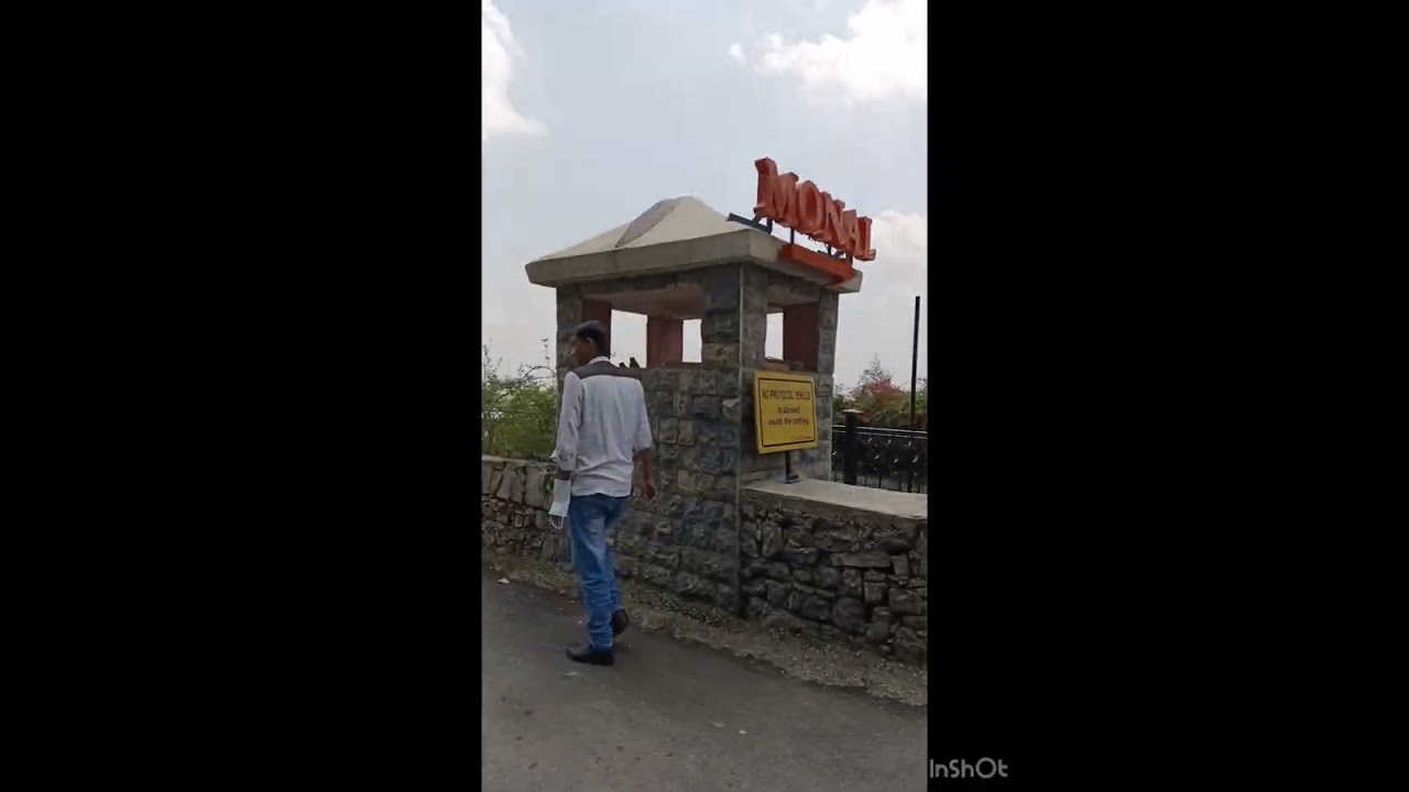 Whispering pines | Margalla Hills | Old monal