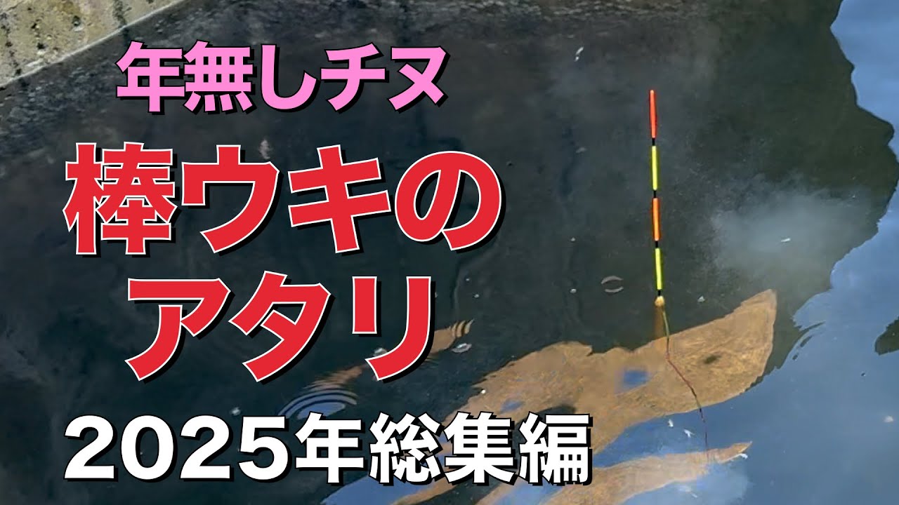 2025年総集編 棒ウキのアタリ集 年無しチヌ