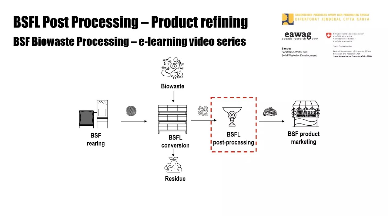BSFL Post-processing - Refining - BSF Biowaste Processing e-learning video series