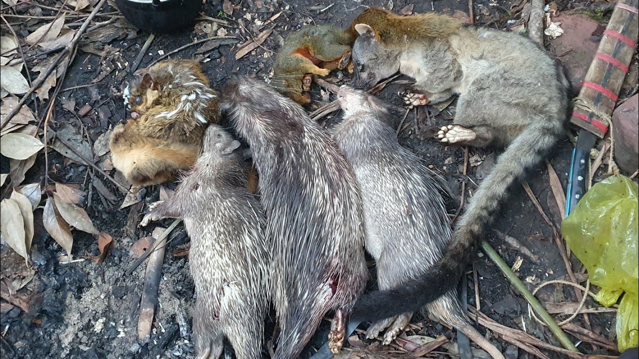 Hunting yos hav zoov 