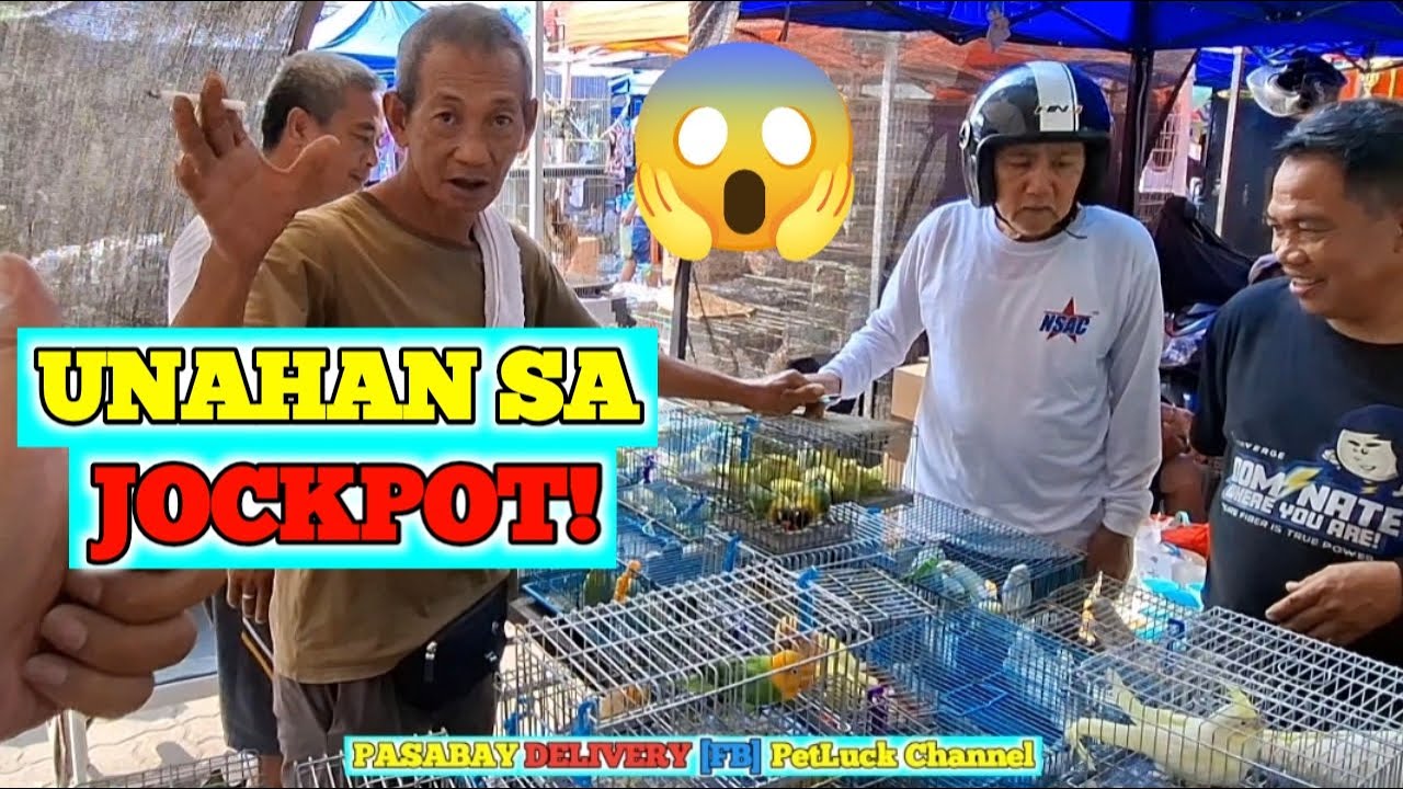 LOVEBIRDS SUPER SALE SA HULONG DUHAT MALABON