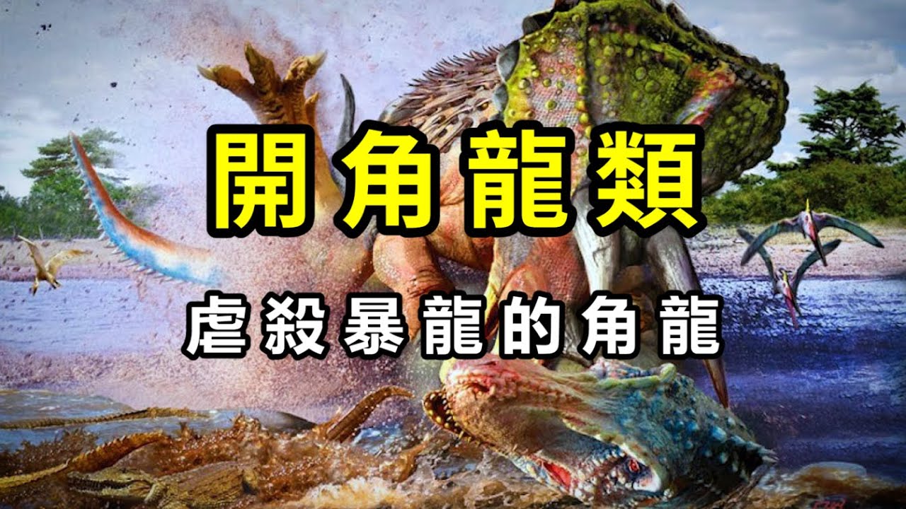 角龍科②：最強之盾開角龍亞科